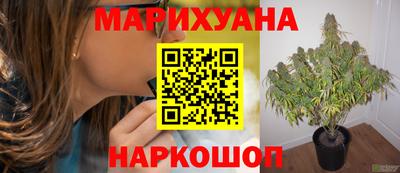 гашиш Кимры