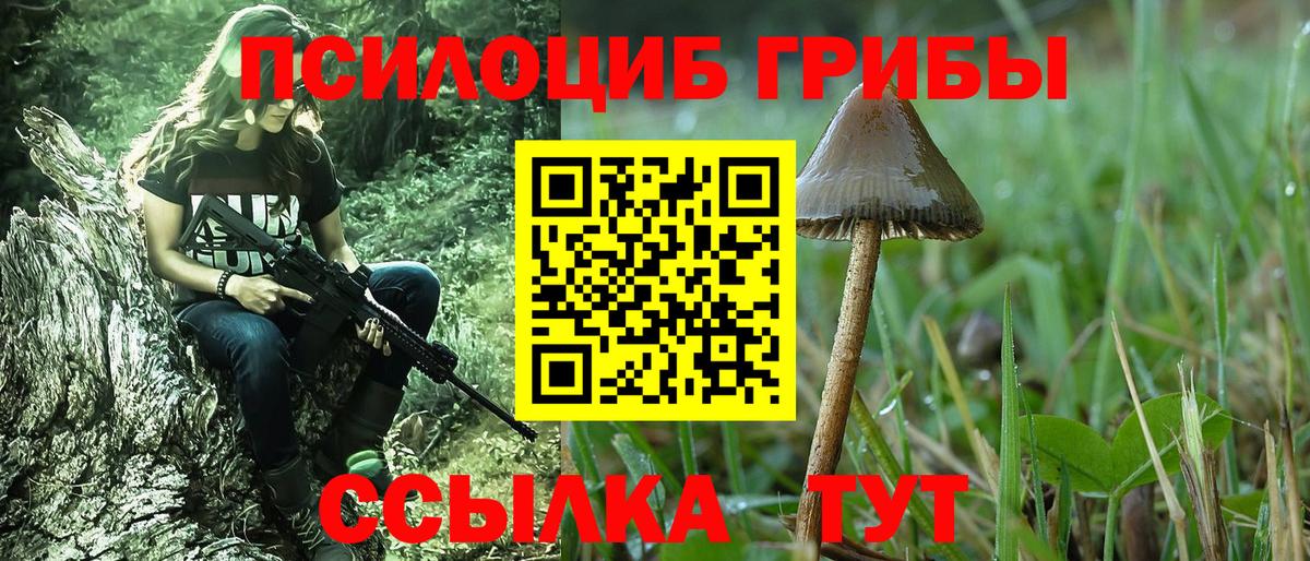 Галлюциногенные грибы GOLDEN TEACHER Воркута