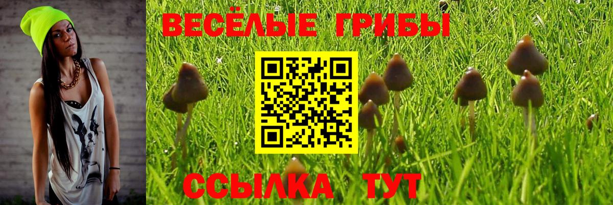 Галлюциногенные грибы Psilocybine cubensis  Вход с VPN  Воркута 
